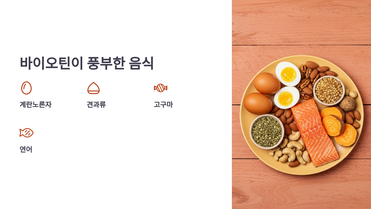 바이오틴 효능