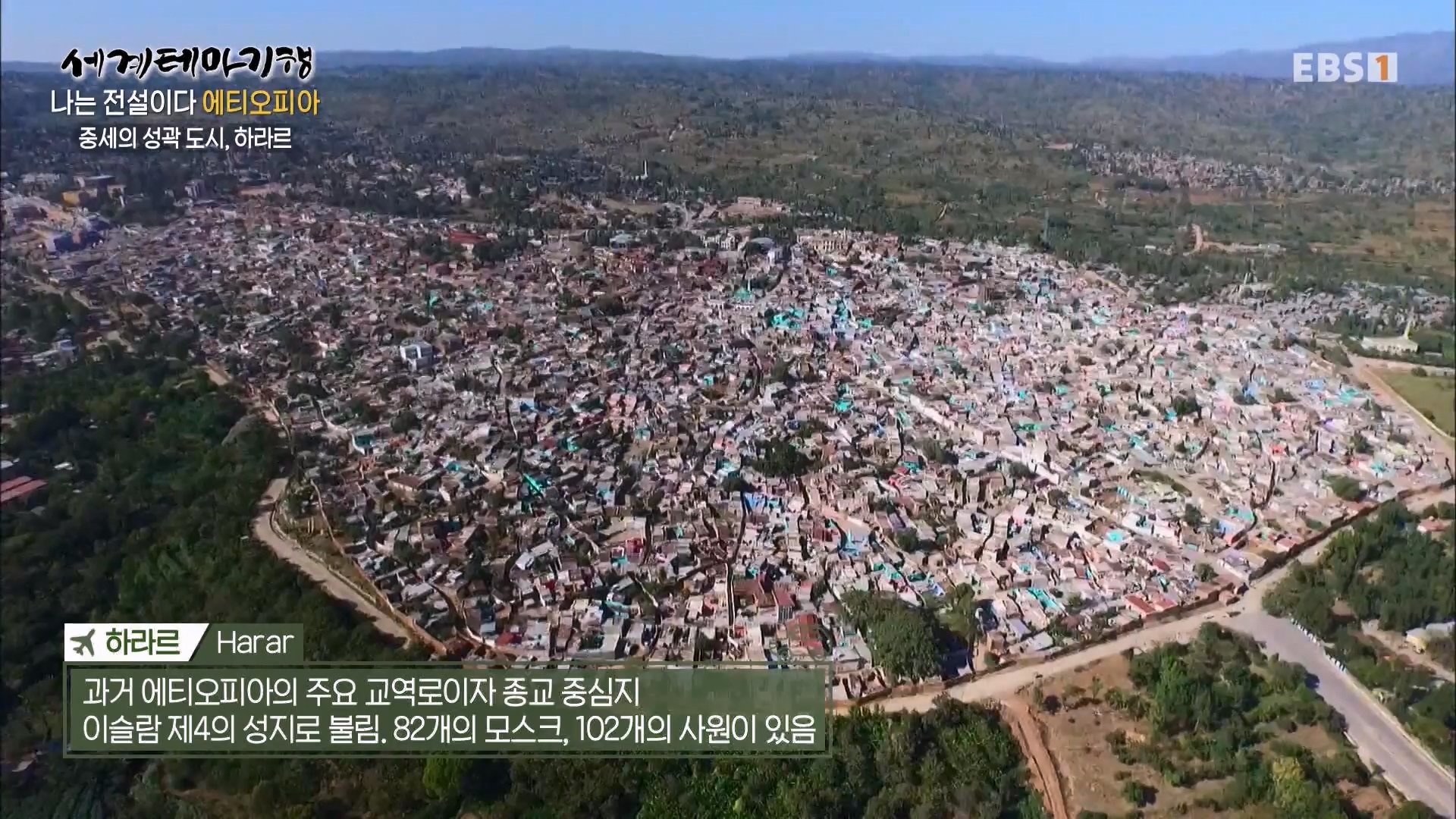 세계테마기행 240116 나는 전설이다 에티오피아 -골목의 전설, 하라르0p.mp4_20240713_174139.769.jpg