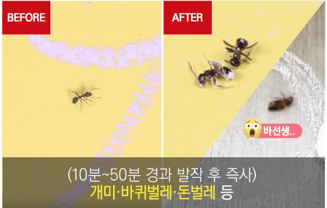 신기패분필