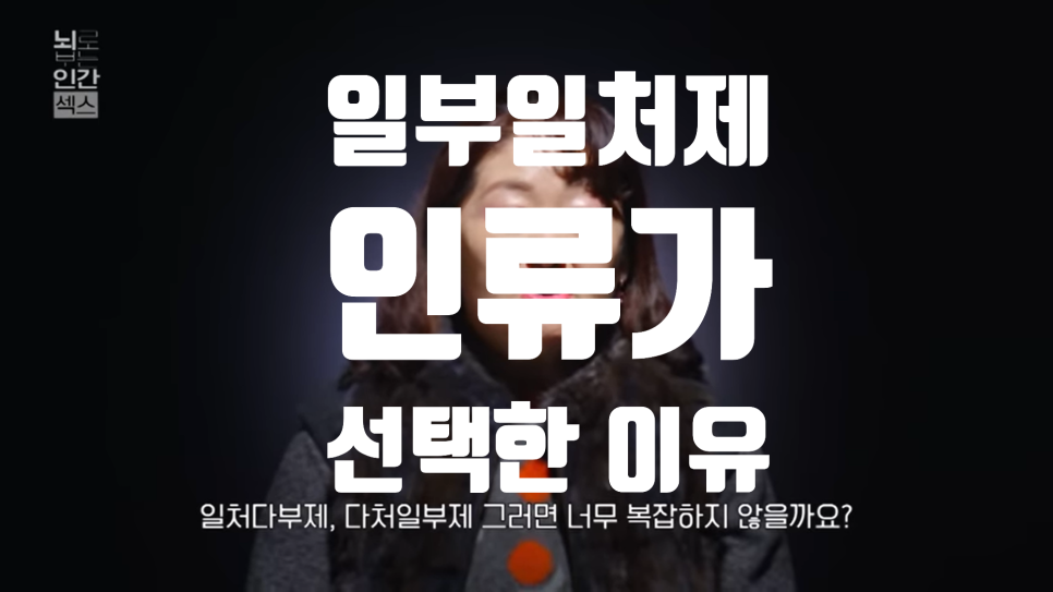  한 쌍을 선택한 인간. 인류의 '일부일처제'에 대하여