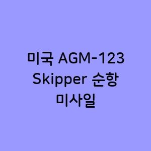 미국 AGM-123 Skipper 순항 미사일