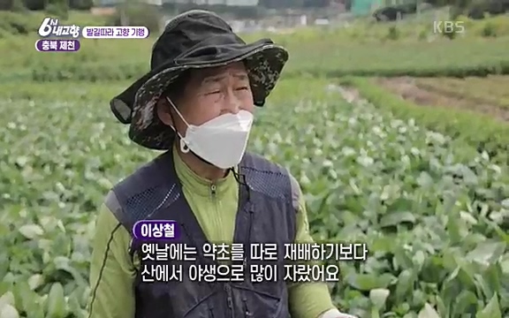 [7612회] 6시 내고향 - KBS7612회] 6시 내고향.ts_20220912_173334.711.jpg