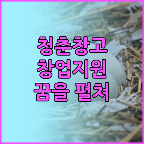 청춘창고 2025: 순천시 청년 창업
