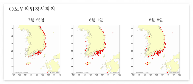 노무라입깃해파리 출현지역