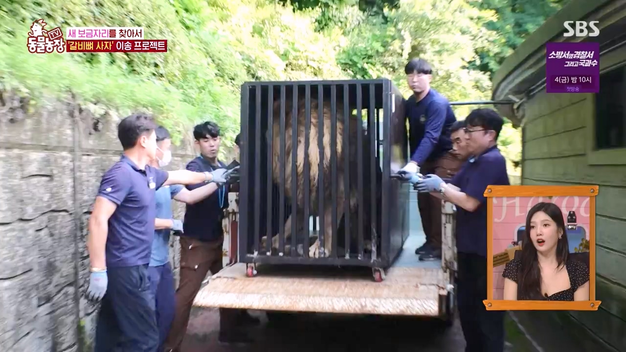 TV 동물농장.E1131.230731p-NEXT.mp4_20230730_191003.800.jpg