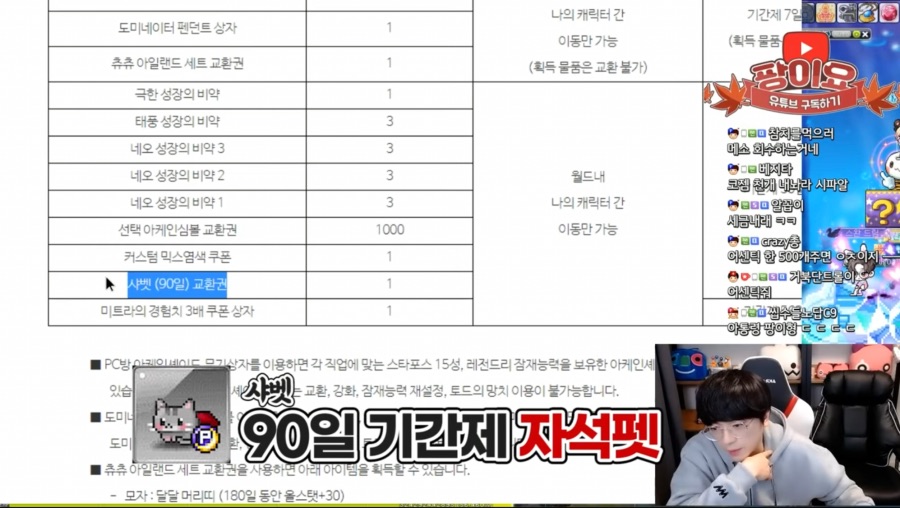 메이플스토리 현금 20억 쓴 유튜버가 말하는 자석펫 메이플스토리 현금 20억 쓴 유튜버가 말하는 자석펫
