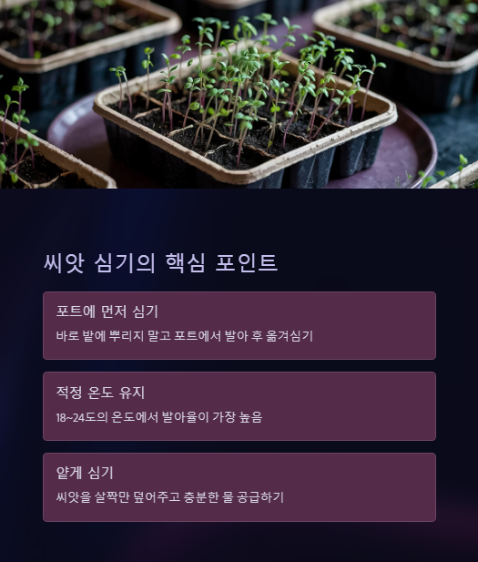 씨악 심기의 핵심 포인트