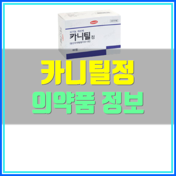  카니틸정 효능 부작용 복용법