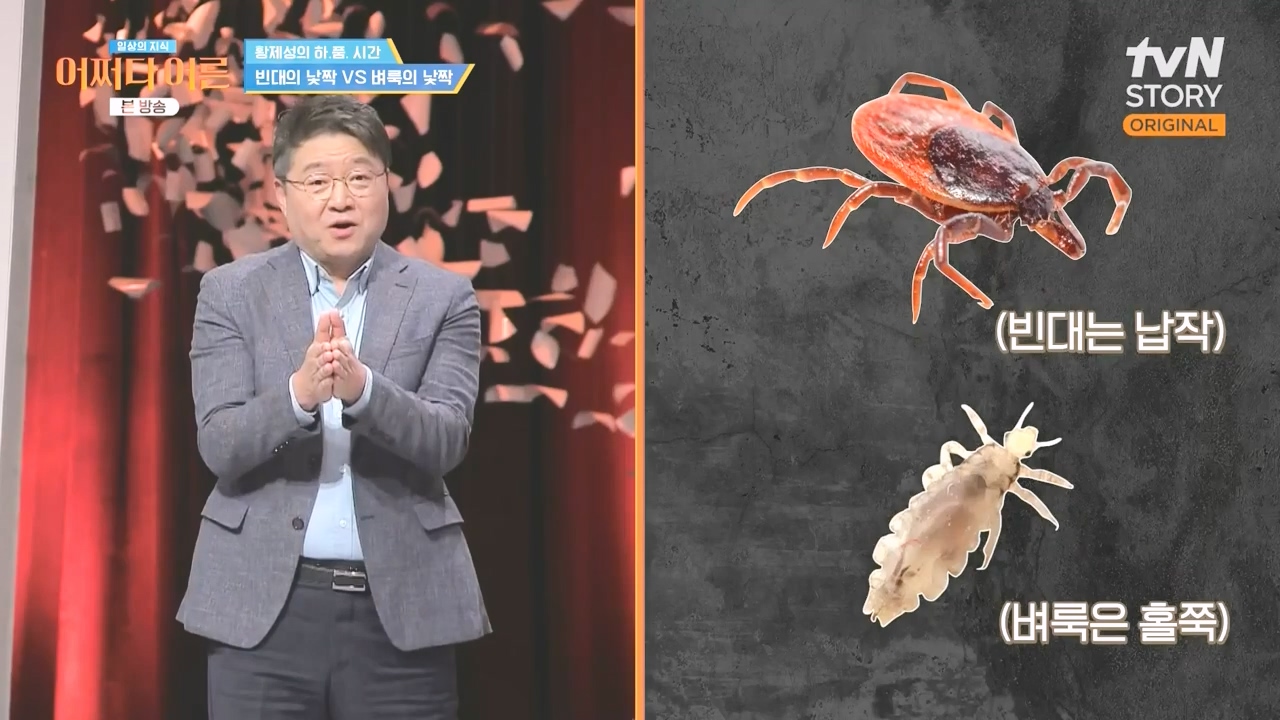 어쩌다 어른.E51.240410p-NEXT.mp4_20240410_170321.735.jpg