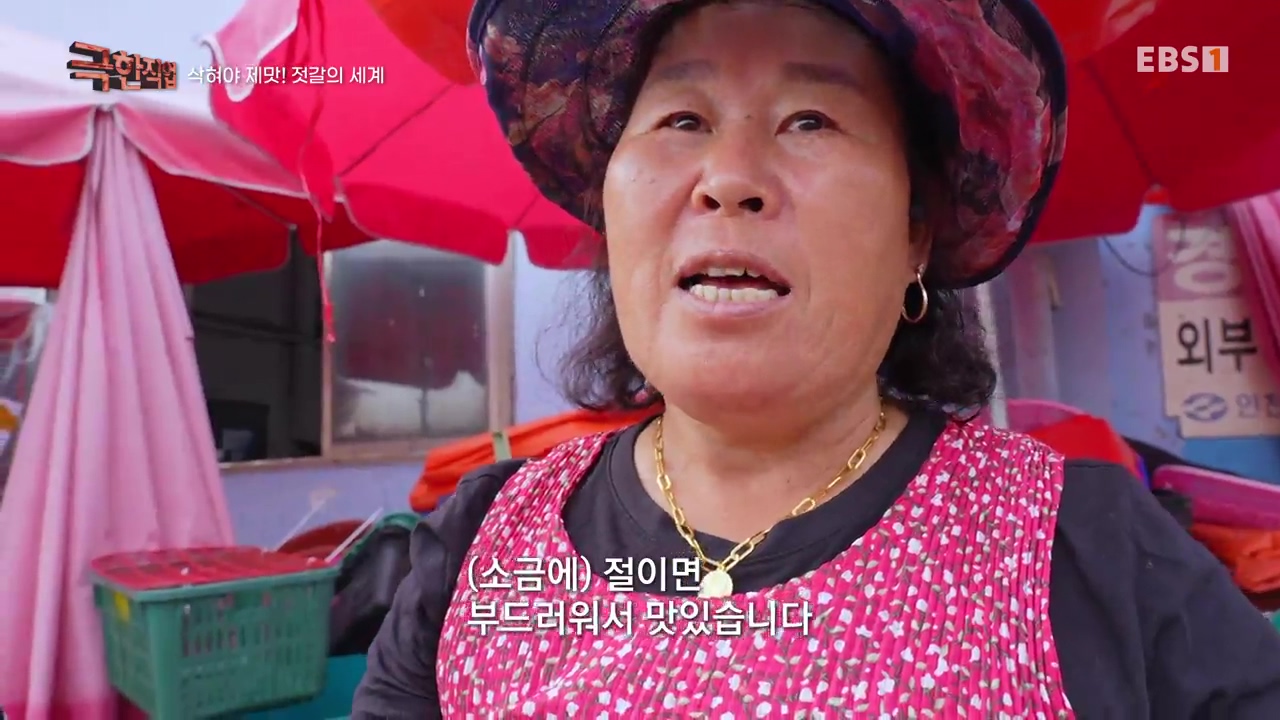 TV - 전 국민의 평생학교 EBS삭혀야 제맛! 젓갈의 세계.mp4_20231125_190745.669.jpg
