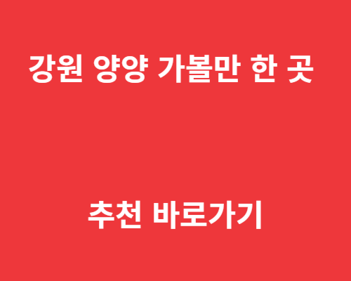 강원 멋진 양양 가볼만 한 곳 추천 바로가기