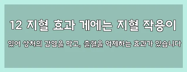  12 지혈 효과 게에는 지혈 작용이 있어 상처의 감염을 막고, 출혈을 억제하는 효과가 있습니다