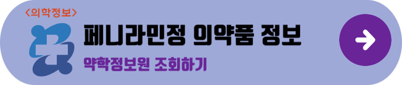 페니라민정 약학정보원 조회