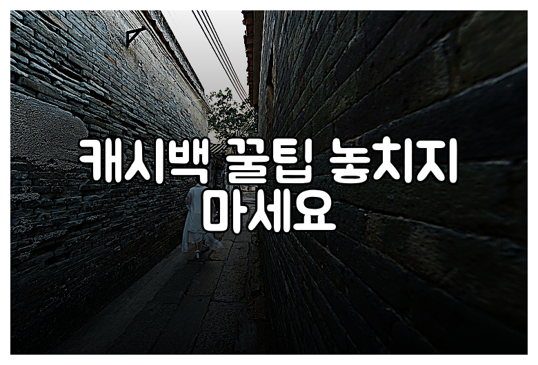 캐시백 꿀팁 놓치지 마세요