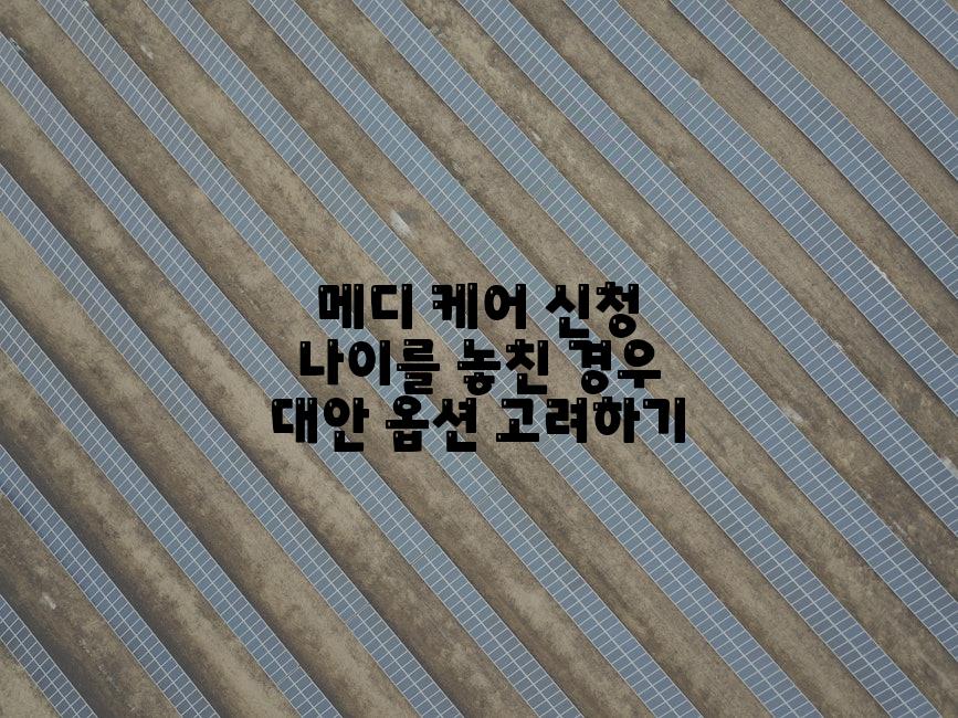 메디 케어 신청 나이를 놓친 경우 대안 옵션 고려하기