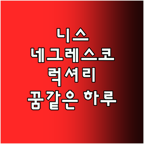 니스의 럭셔리 끝판왕! 호텔 네그레스