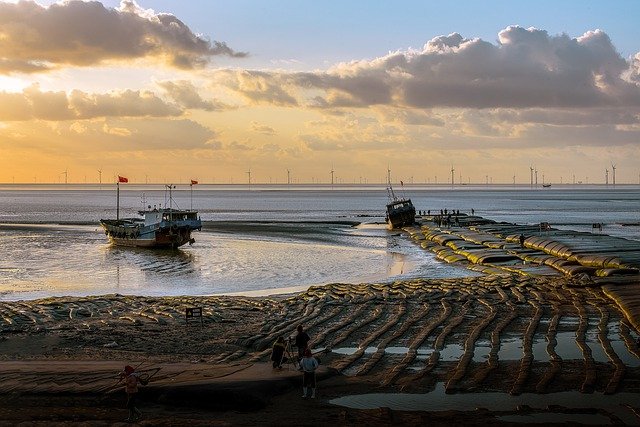  오늘의 띠 별 운세 2020년 10월 4일 일요일