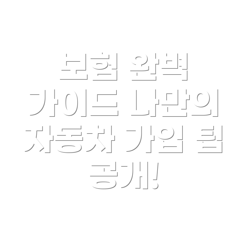 단독 자동차보험