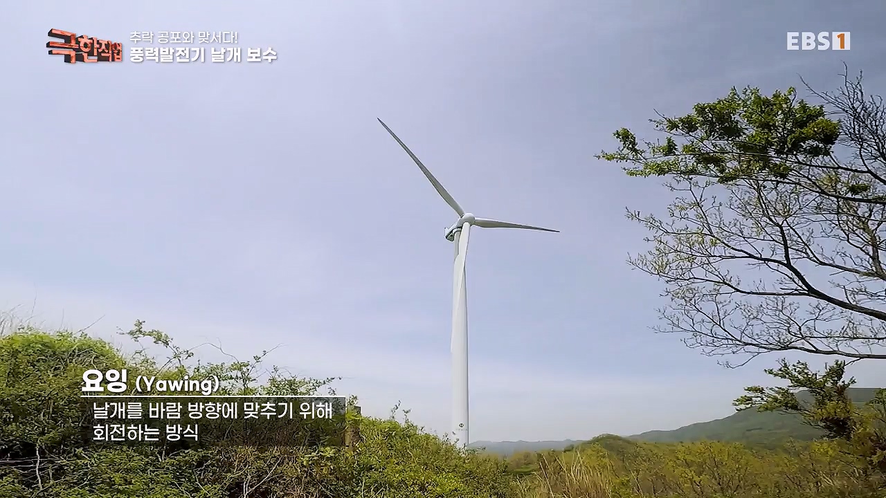 TV - 전 국민의 평생학교 EBS추락 공포와 맞서다! 고공 작업자.mp4_20240604_204117.819.jpg