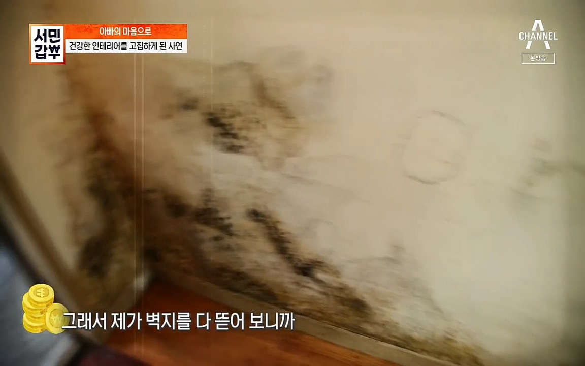 서민갑부.E382.220508p.H264-F1RST.mp4_20220508_174952.635.jpg
