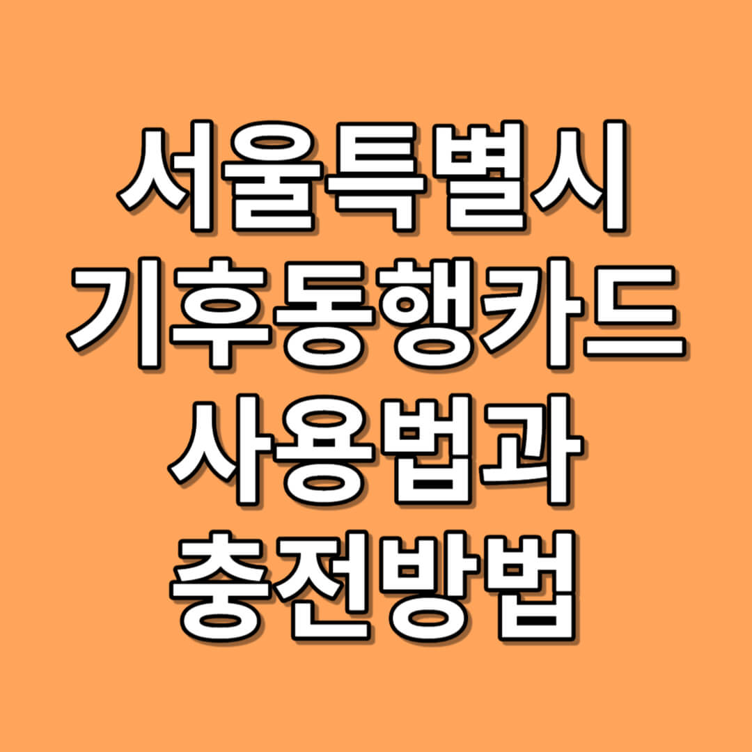 기후동행카드 신청 및 사용법과 충전방법