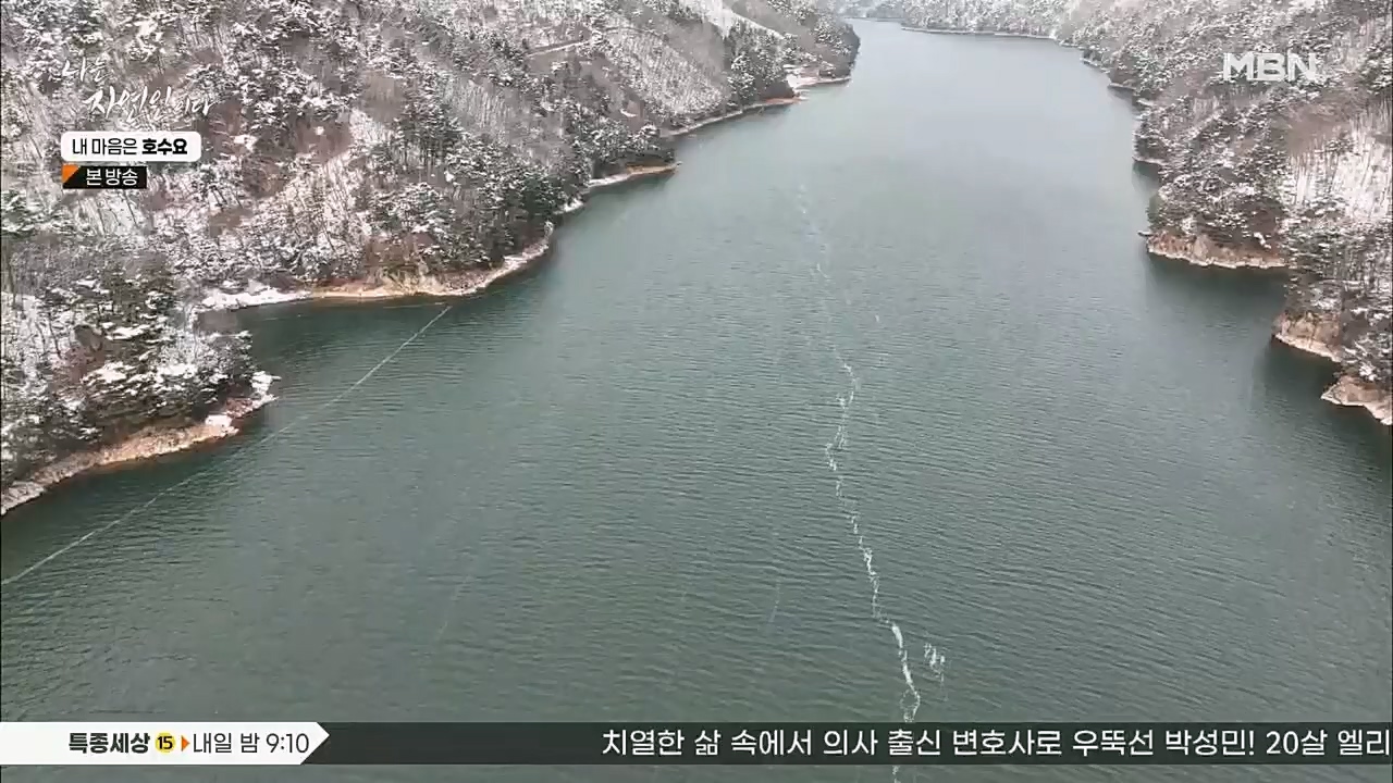 나는 자연인이다.E540.230209p.H264-F1RST.mp4_20230209_203718.015.jpg