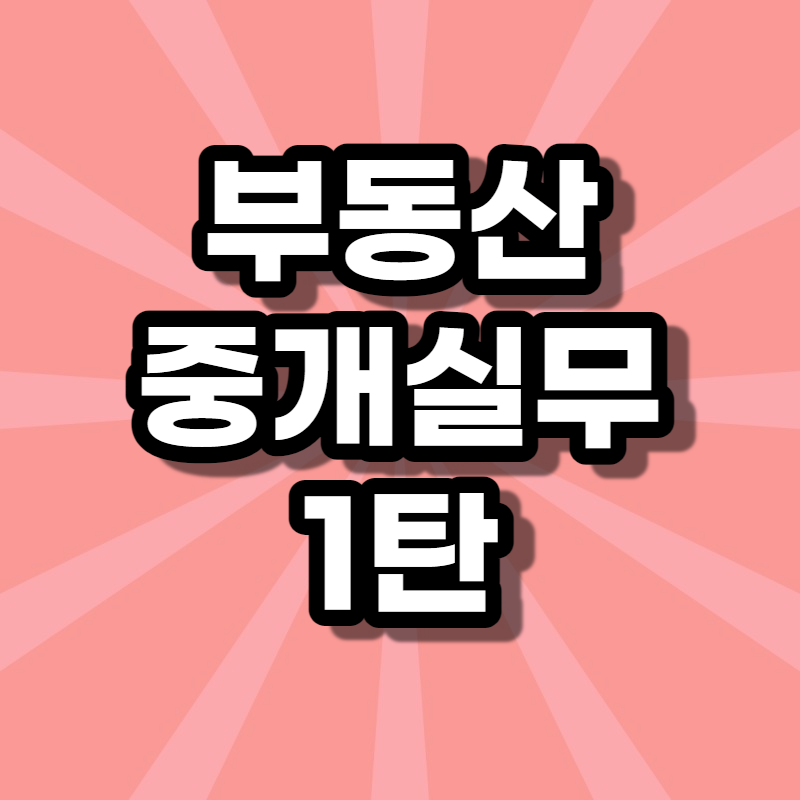  부동산 중개 실무 1 상가 토지 중개 브리핑 자료