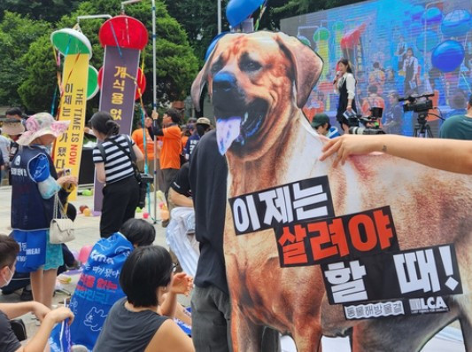  초복 3일 남기고 개 식용 반대한 동물 보호단체 육견협회는 '시식' 맞불? 개식용으로 사회적 이미지 망치나.. 박지성선수 응원가를 들어보면 사회적 이미지는 이미 망가졌다.