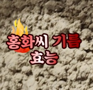 홍화씨-유-기름-효능