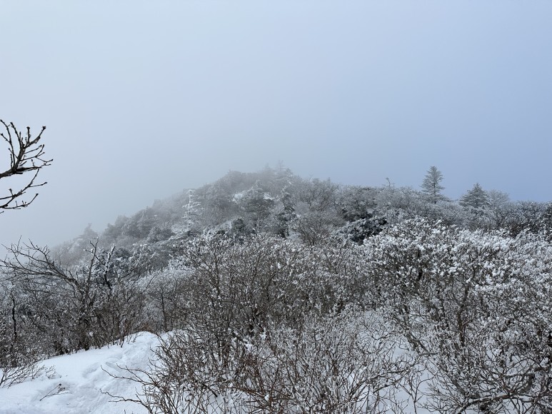 덕유산 등산코스 상고대