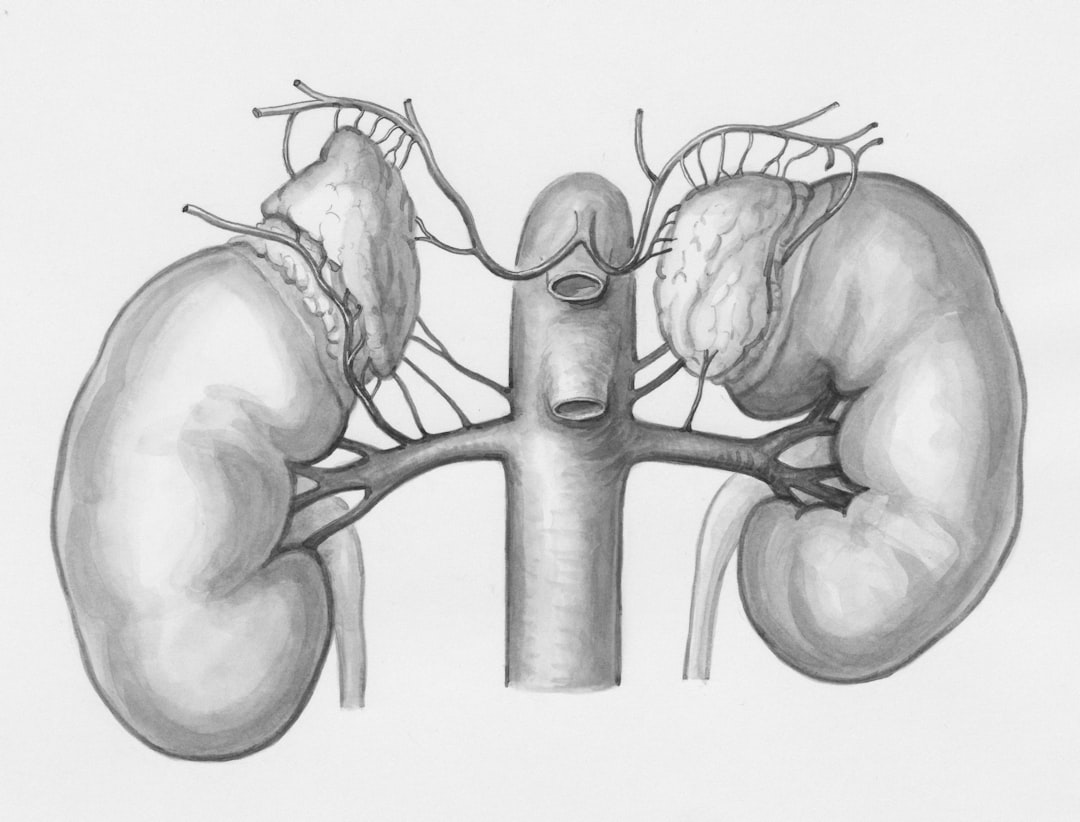 Kidney.