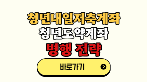청년도약계좌 &amp; 청년내일저축계좌 중복 가입 병행 전략