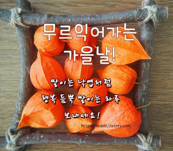 무르익어가는-가을날