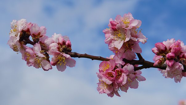 5월 축제