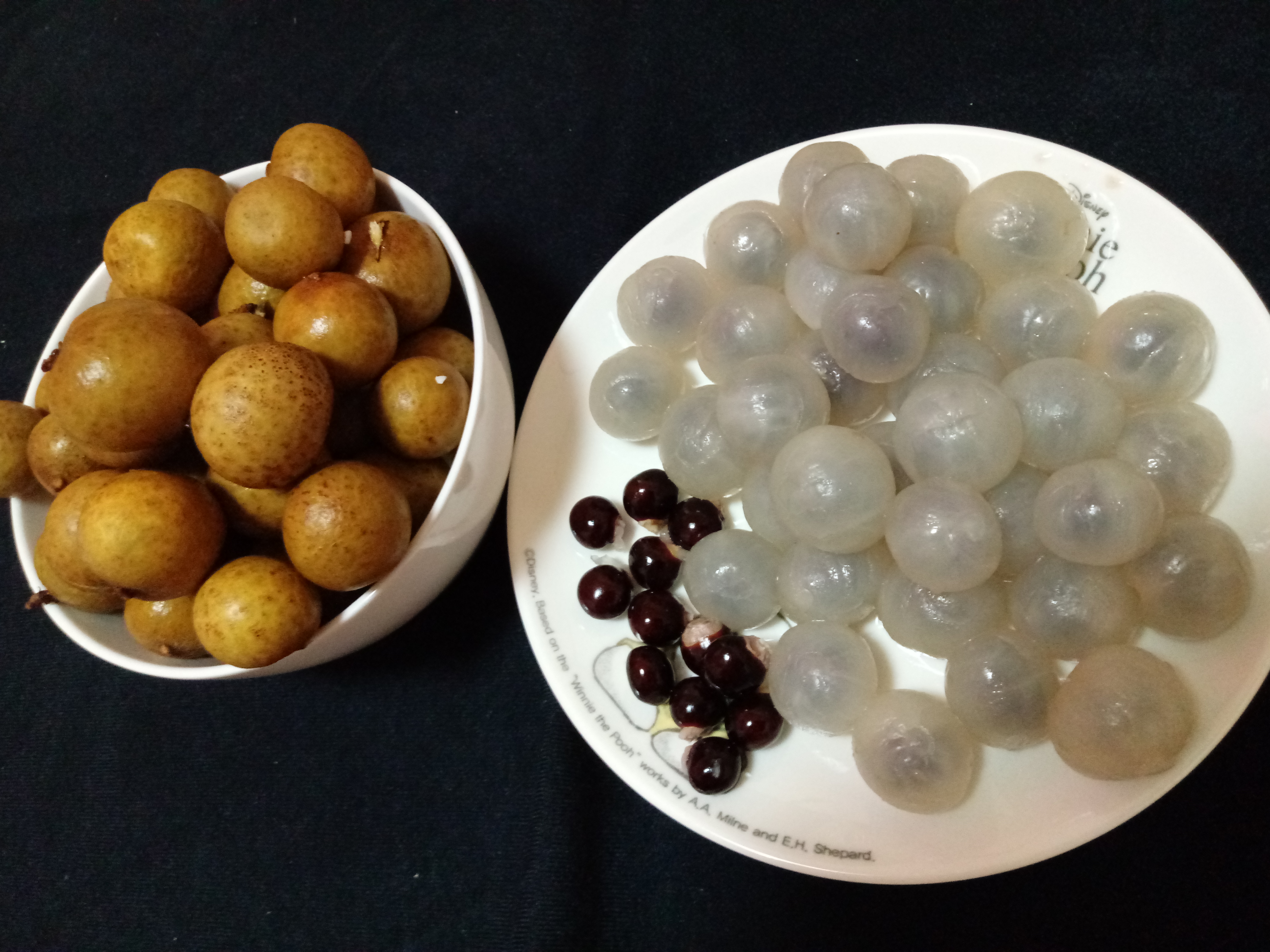  [용안/롱간(Longan)] 용안 재배 방법 & 냉동 용안 씨앗발아 도전~!