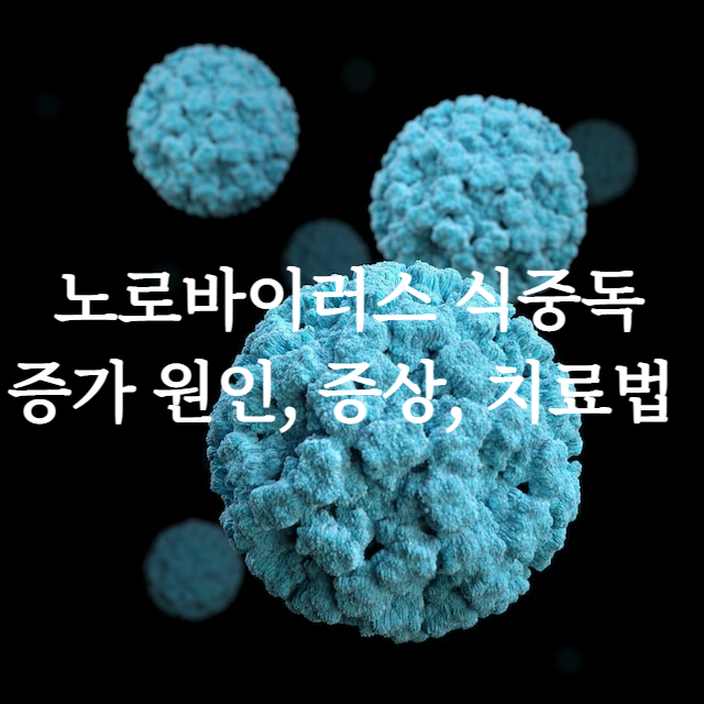 노로바이러스 굴 먹고 장염 증상&#44; 원인&#44; 치료 방법