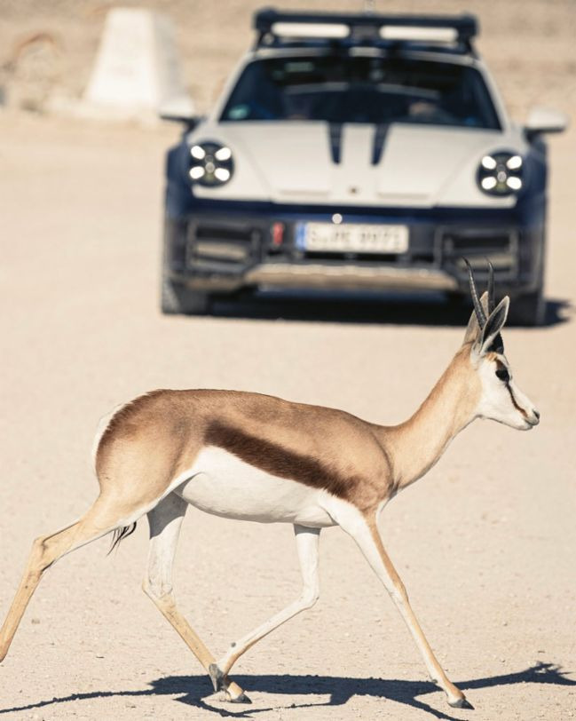 Welcome to the adventure: Camp Porsche 911 Namibia 23 img https://mobilityground.com/wp-content/uploads/2024/09/3-1-2.jpg