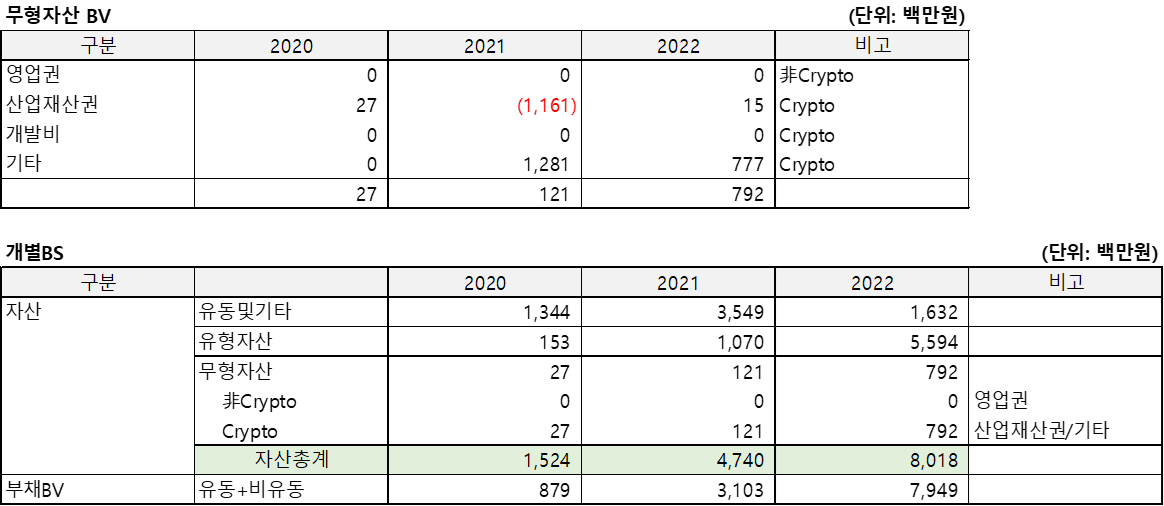 차지인(2022.12)의 무형자산BV 및 개별BS를 정리한 표
