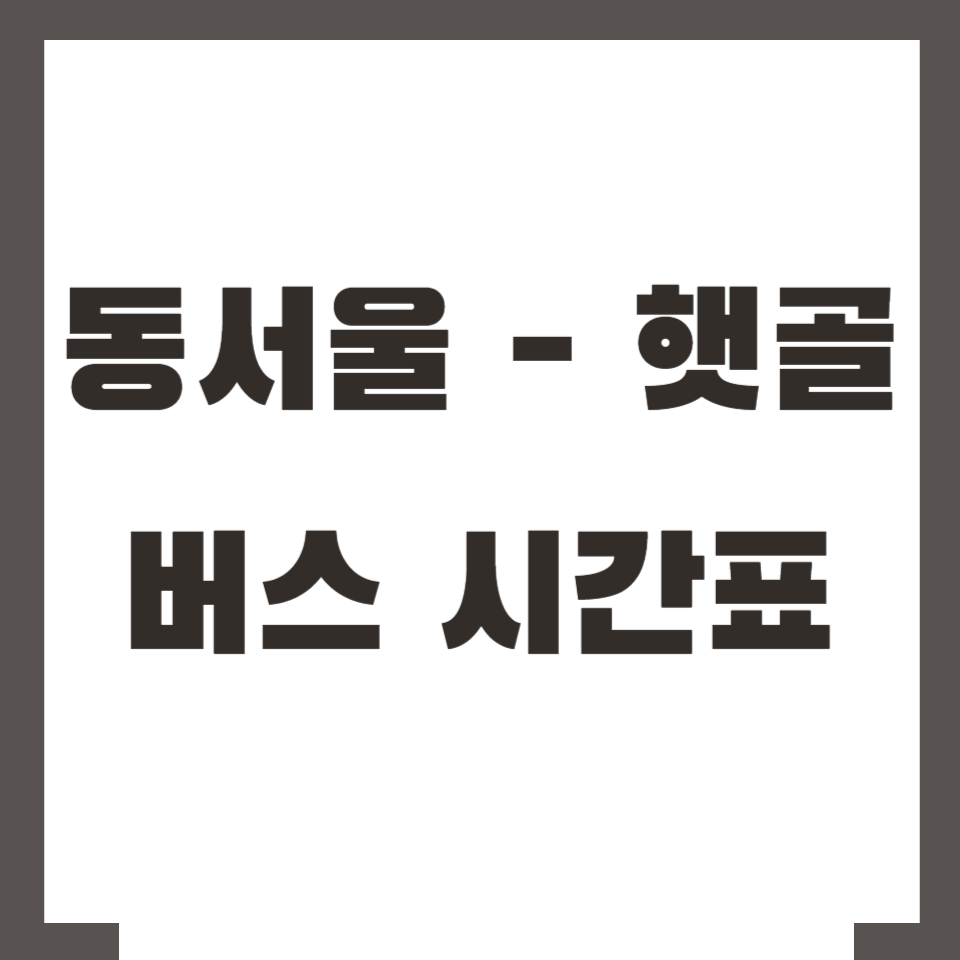 동서울 햇골 버스 시간표