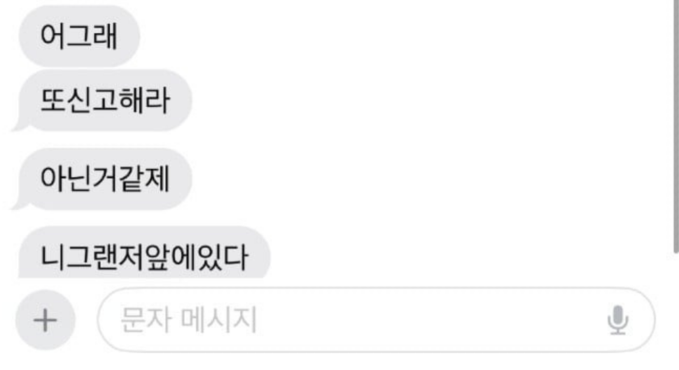 대리불렀는데 대리기사가 음ㅈ운전… 12