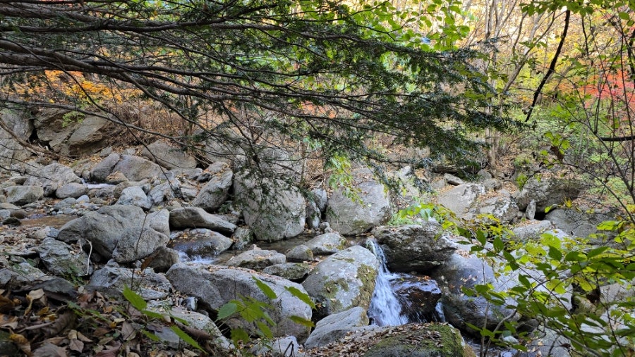 소백산국립공원 희방사코스 이미지