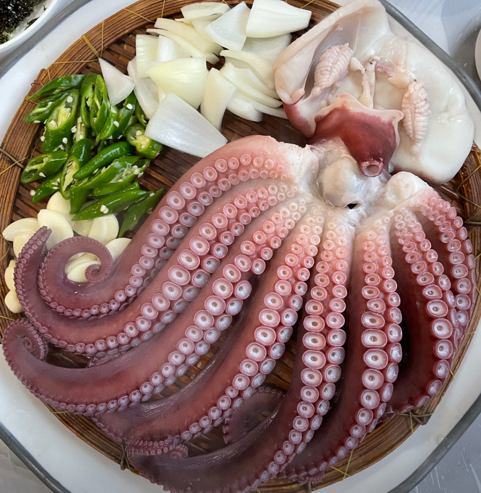 삼척골뱅이 이미지