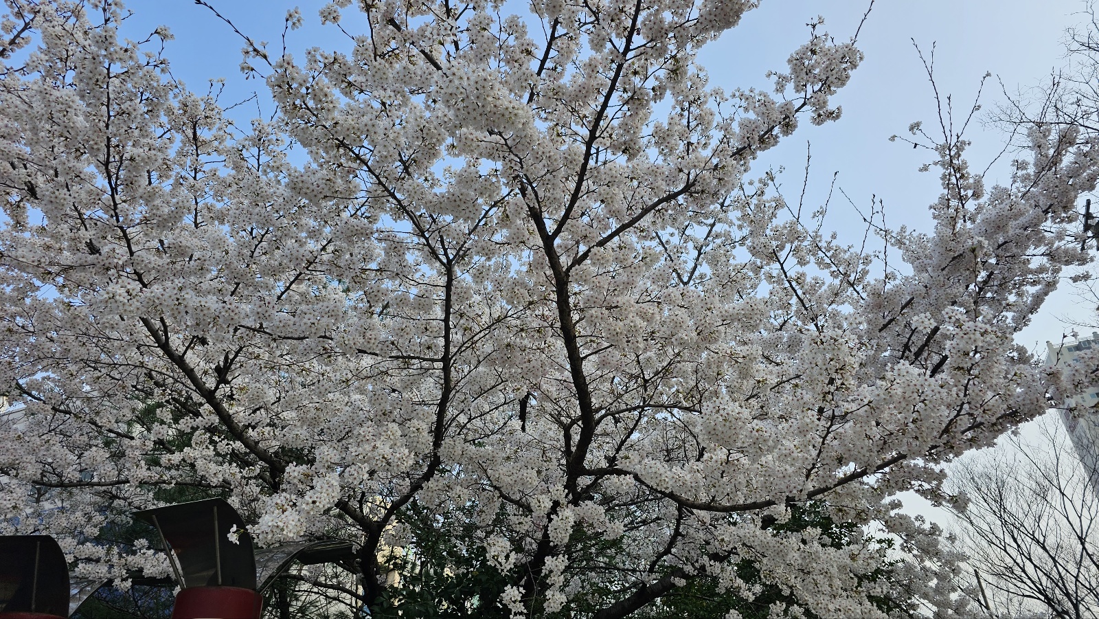동아사 이미지