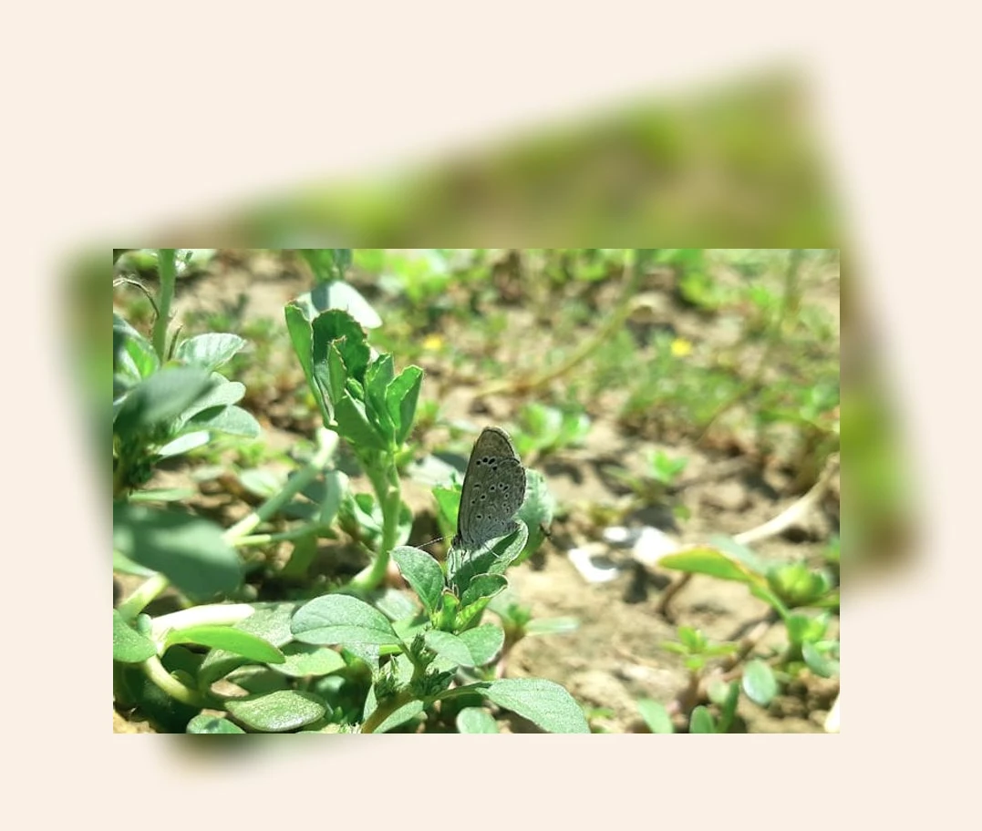 아프리카 여행_2_subsection