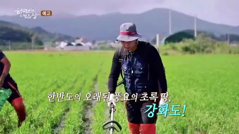 강화도 맛집 초록통쌀 삼계녹두죽&#44; 초록눈 소고기야채죽&#44; 강화속노랑고구마죽 섬밀죽 15종 파는 죽집 전국 택배 온라인 전화 주문