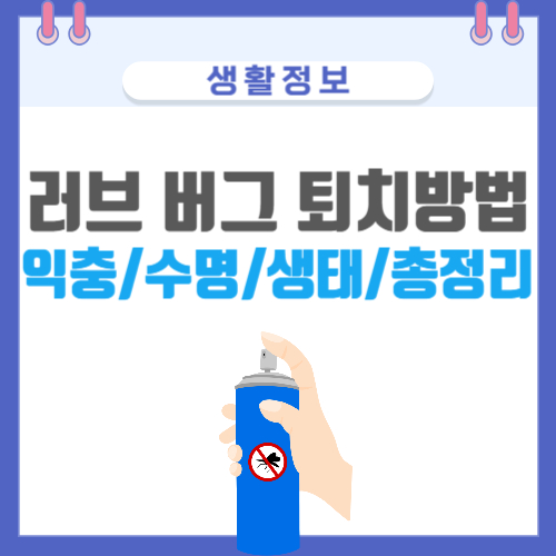 러브버그 퇴치 방법 익충 수명 생태 총정리