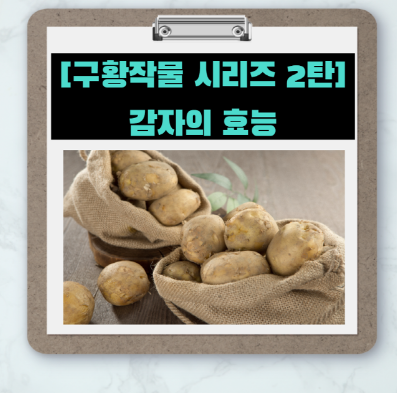  [구황작물 시리즈 2탄] 감자 효능 7가지와 먹는방법