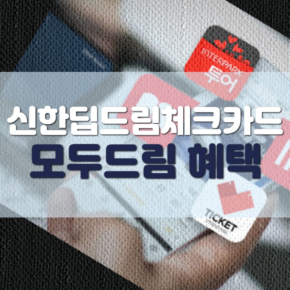 신한 딥드림 플래티넘 체크카드 신용카드