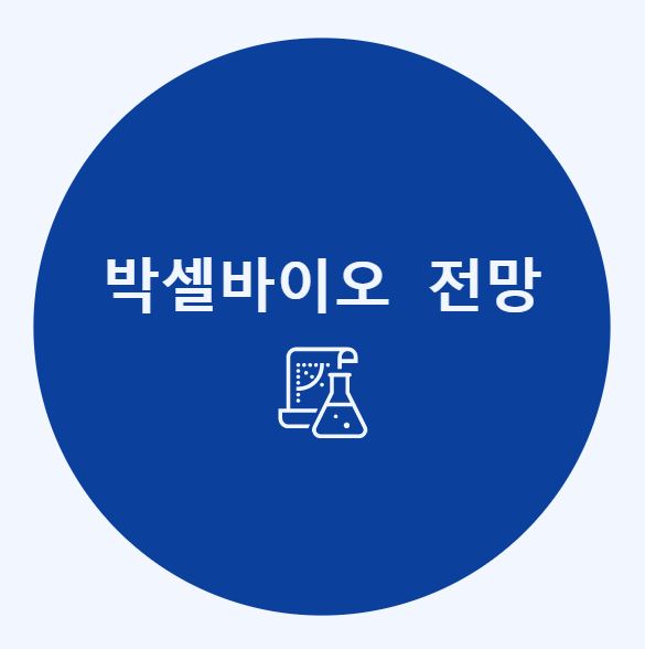 박셀바이오 전망