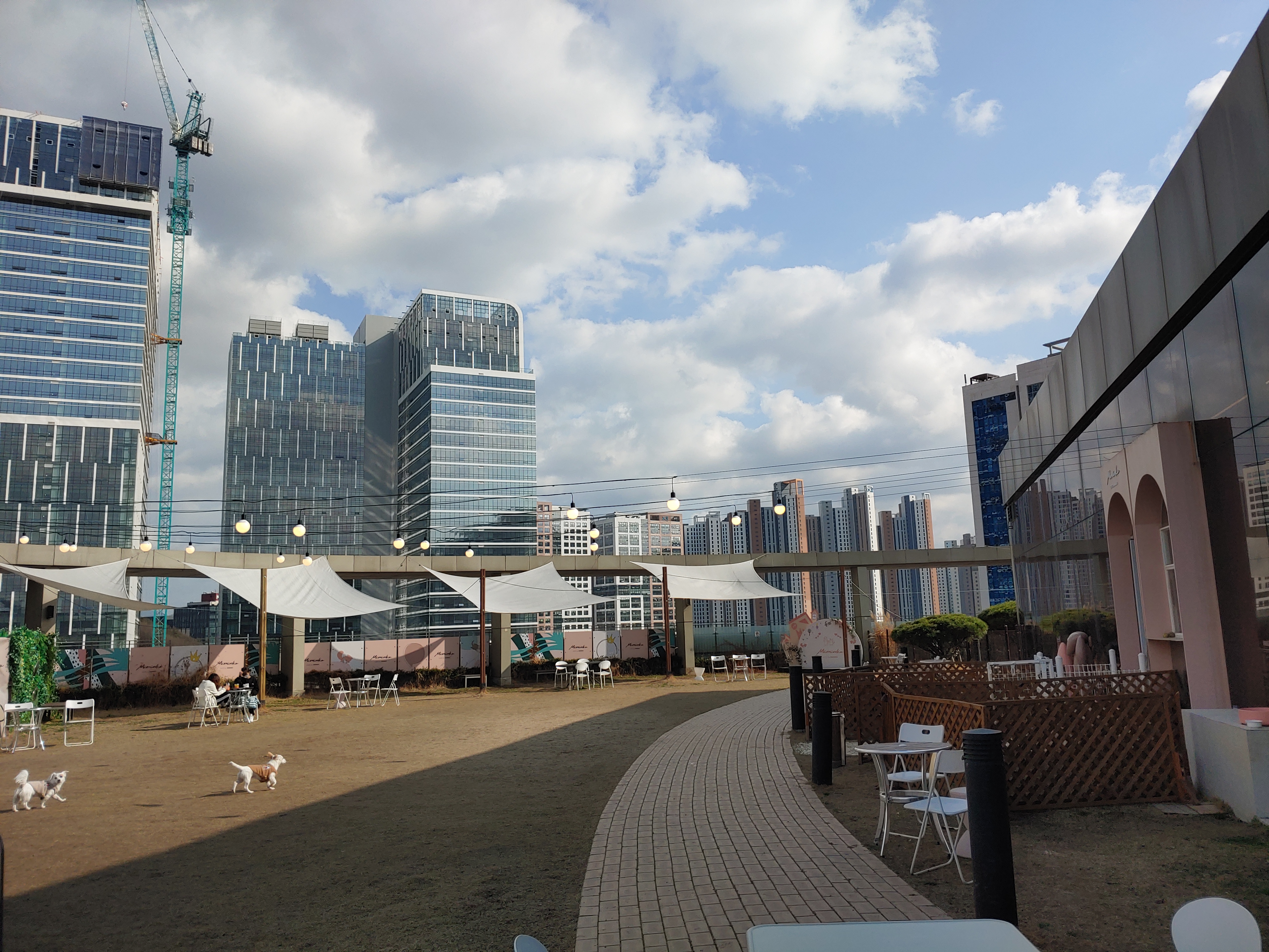  광명 롯데 프리미엄 아울렛 애견 카페 미밍코